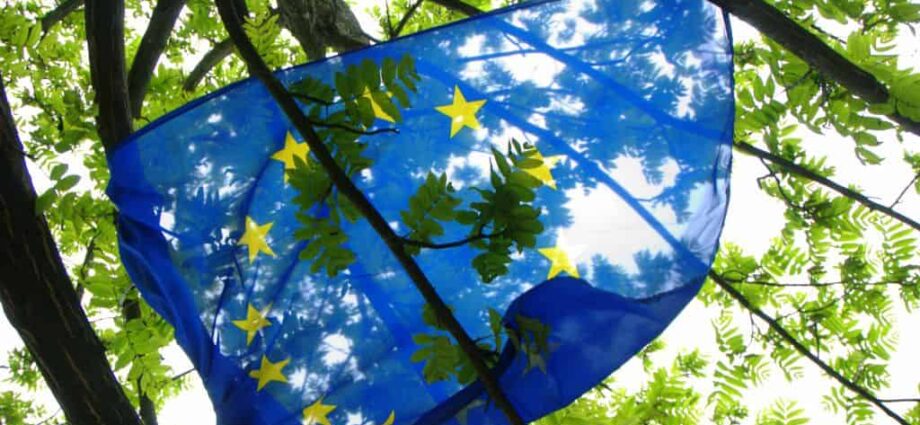 Public Viewing Europawahl
