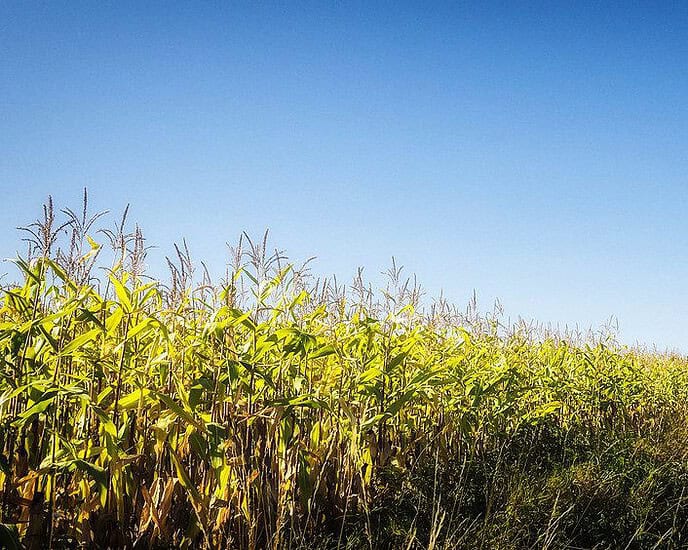 Lena Teschlade: Sommertour im Wahlkreis und den Braunkohlerevieren Lena Teschlade: Sommertour im Wahlkreis und den Braunkohlerevieren